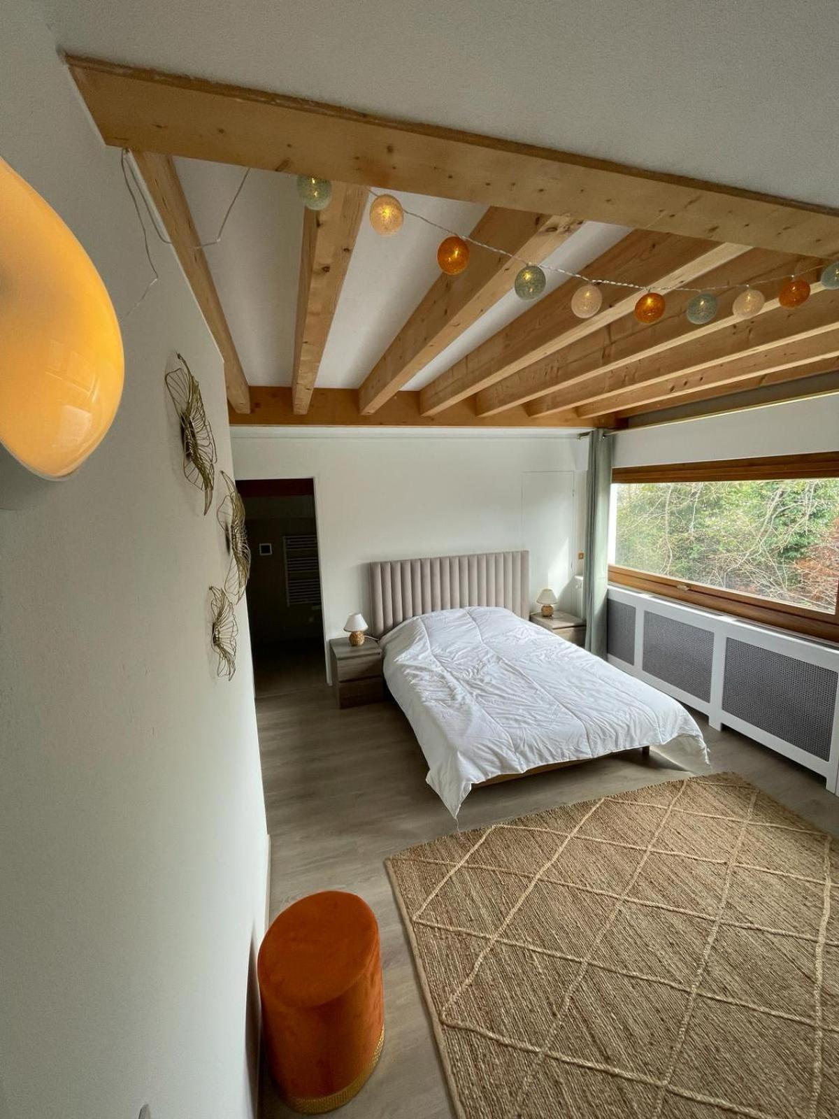 Le Bacchus Apartment Thonon-les-Bains Room photo